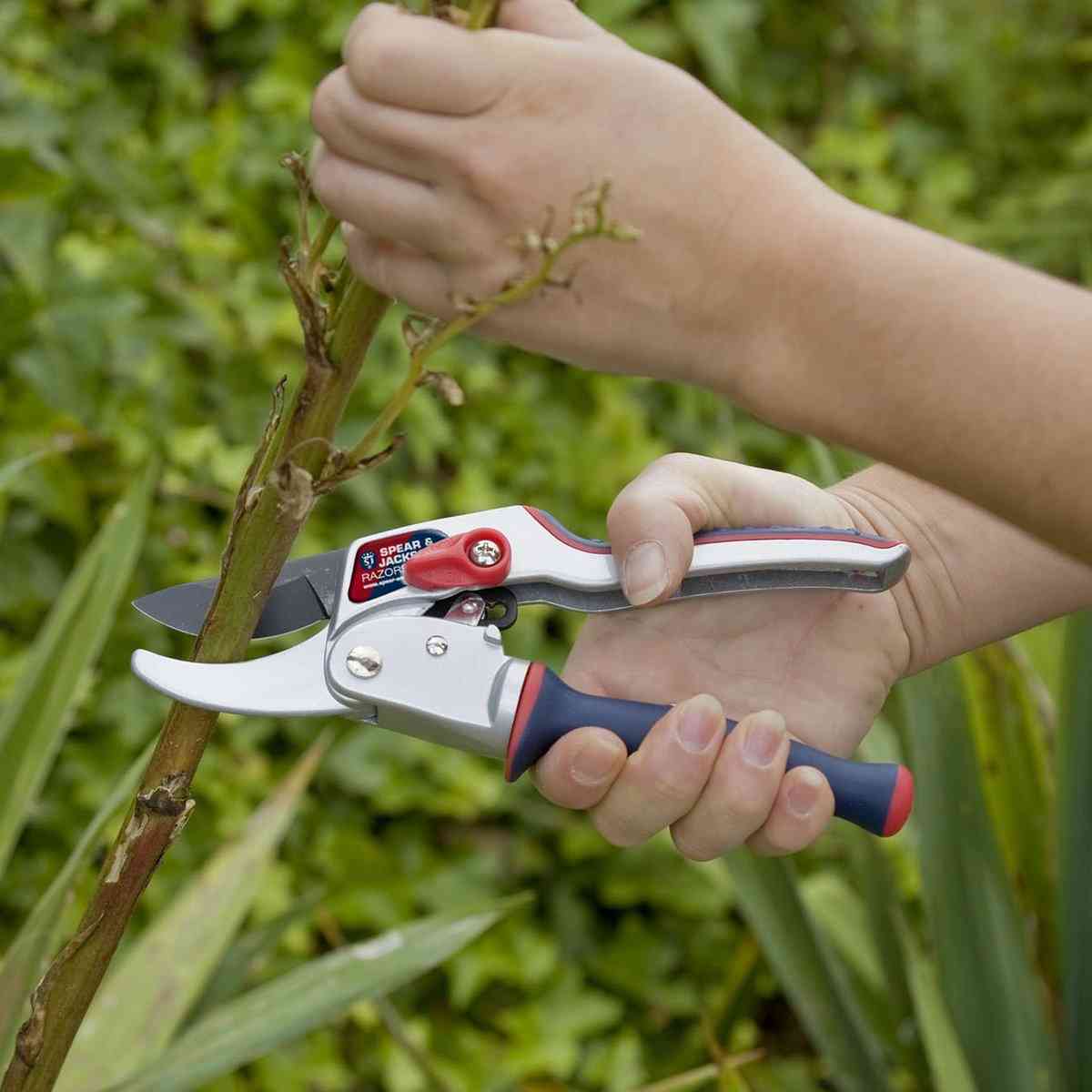 Snoeischaar van Spear & Jackson voor precies snoeien – Synx Store