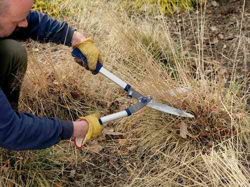 Heggenschaar van Spear & Jackson voor strak snoeien – Synx Store