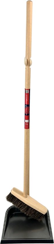 Stoffer en blik met lange houten steel en paardenhaar