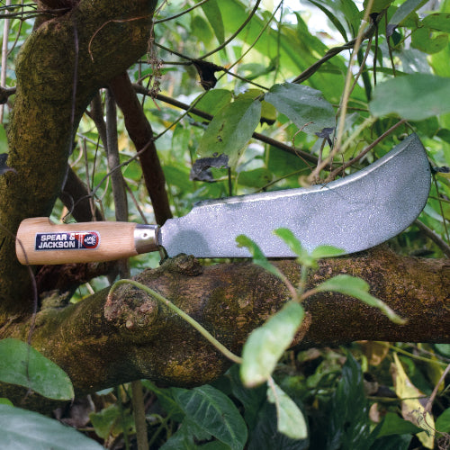 snoeimes bill haak liggend op een tak