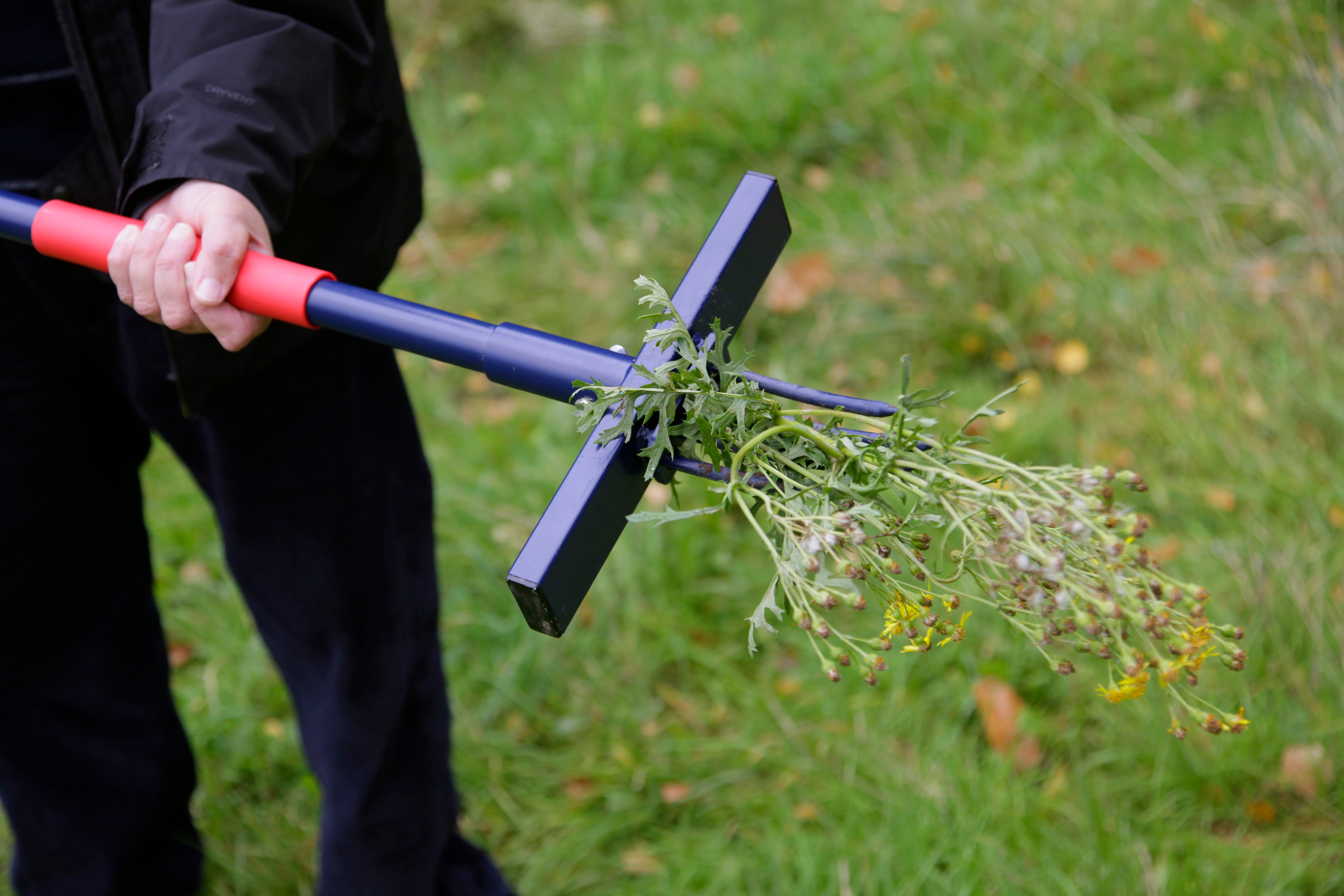 Spear & Jackson Onkruidsteker - Ragwort Ultra Weeder – Metalen Onkruidverwijderaar met Pompmechanisme - Lengte 102cm
