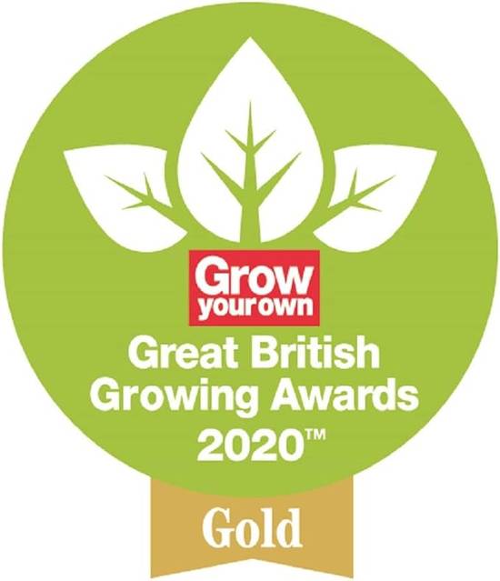 Spear & Jackson Drukspuit WOOD 5 Liter – Drukspuiten - Druksproeier - Sproeier - Drukspuiten -