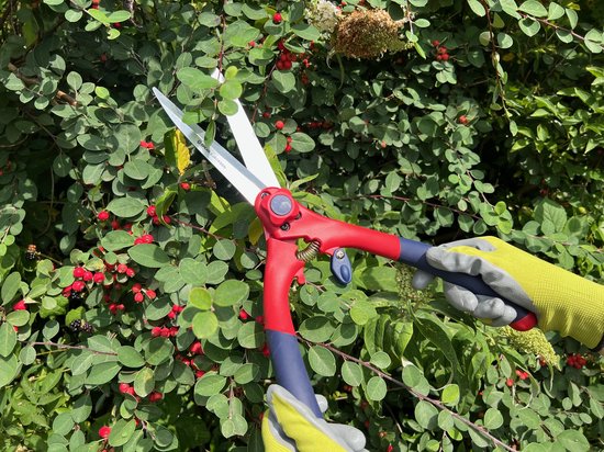 Kleine heggenschaar voor nauwkeurig knipwerk in de tuin – Synx Store