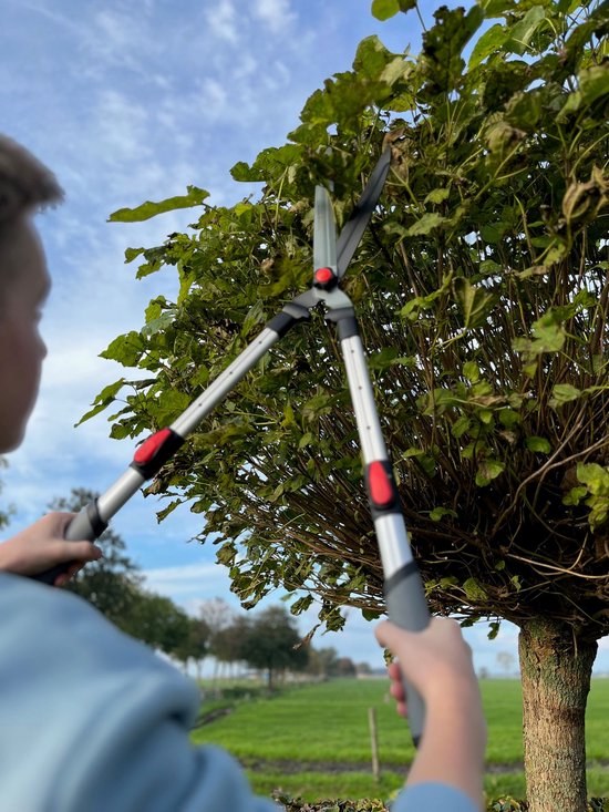 Talen Tools - Heggenschaar – Telescopisch – Premium – 69-89 cm