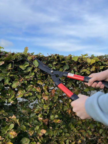 Takkenschaar voor precies snoeien in de tuin – Synx Store