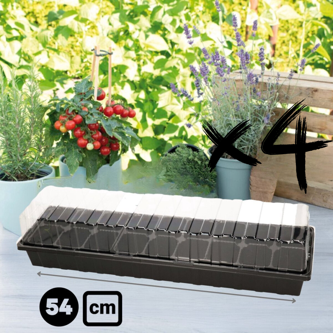 Kweekbak voor vensterbank moestuin