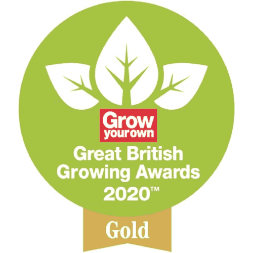 Spear & Jackson Palenzetter - Jumbo Grond boor - Grondgatheffer