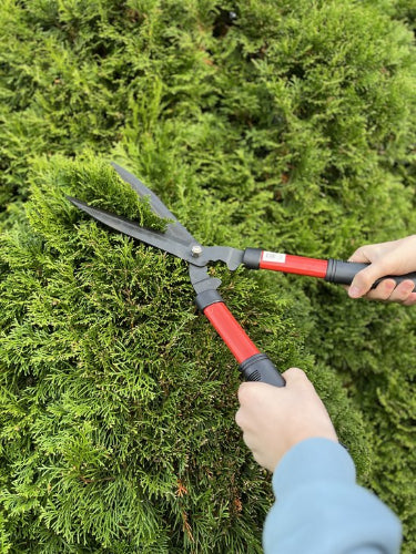 Takkenschaar voor precies snoeien in de tuin – Synx Store