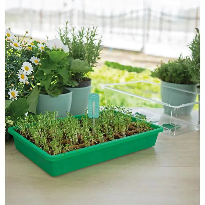 SOGO Greenhouse Thermometer 22cm - Accurate measurements