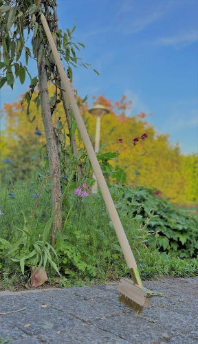 Stalen voegenborstel met een houten steel die leunt op een boom