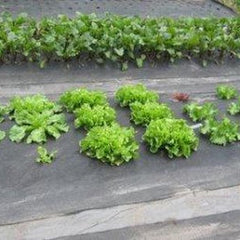 Afdekzeil in de tuin ter bescherming van tuinplanten – Synx Store