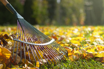 Hark als tuingereedschap voor onderhoud van tuin en grond – Synx Store