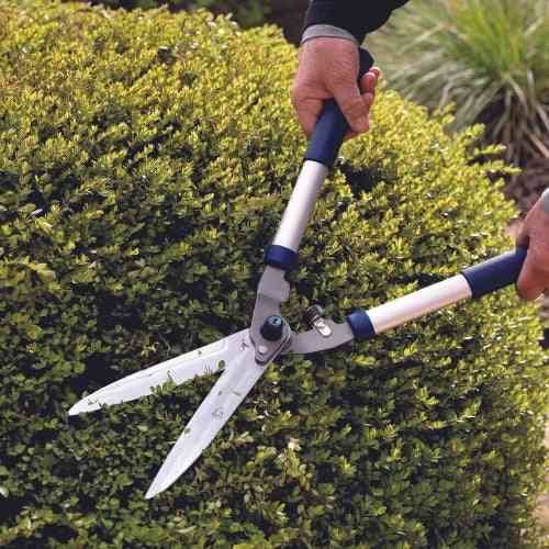 Heggenschaar 9 inch - Spear & Jackson - 10 Jaar Garantie