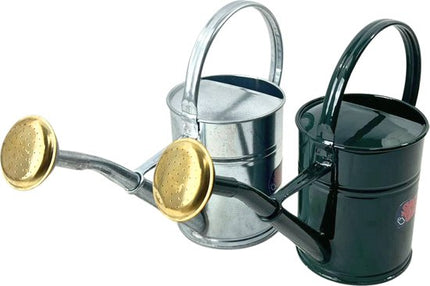 Zinken gieter set van 2 liter in groen en zilver met sproeikop – Synx Store