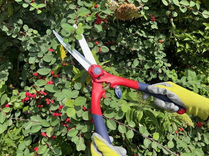 Kleine heggenschaar voor nauwkeurig knipwerk in de tuin – Synx Store