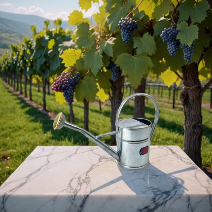 Zinken gieter 2 liter in zilver voor planten verzorgen – Synx Store