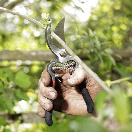 Spear & Jackson takkenschaar en snoeischaar set voor precies tuinwerk – Synx Store
