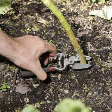 Spear & Jackson takkenschaar en snoeischaar set voor precies tuinwerk – Synx Store