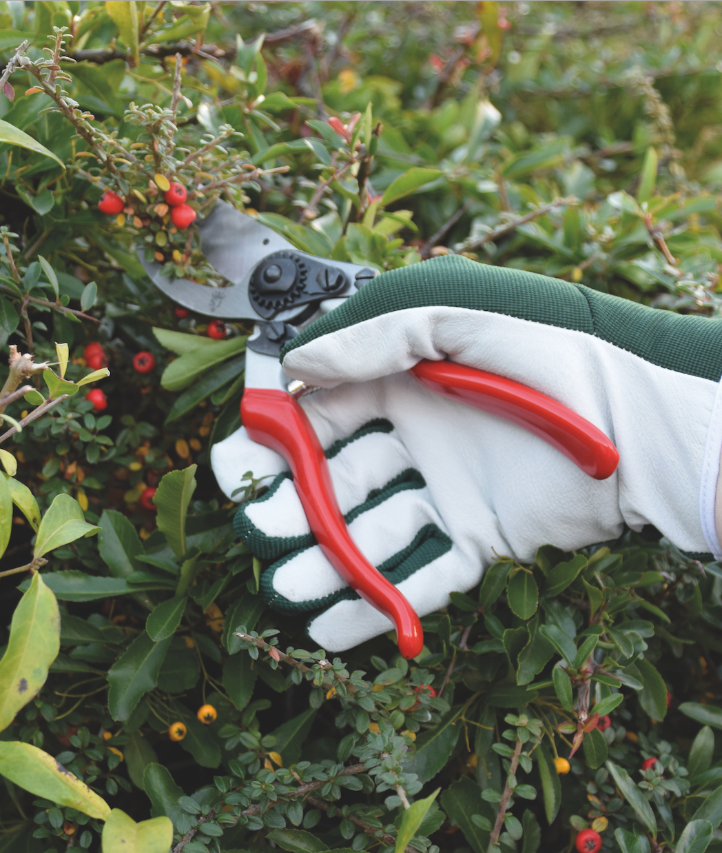 schrijf 6 alt teksten voor me voor de foto's