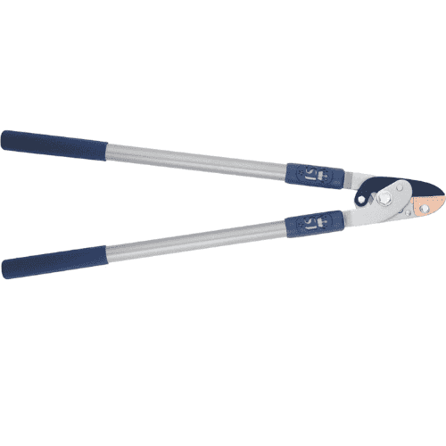 Snoeischaar met lange steel voor krachtig snoeien – Synx Store
