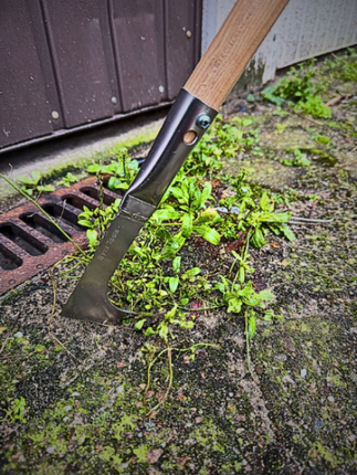 voegenkrabber in een tuin