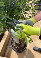 Synx Tools Fugenmesser Edelstahl + Spear &amp; Jackson Arbeitshandschuh Größe M - Gartenhandschuhe - Größe Medium - Damen und Herren - Recycelt - Fugenschaber mit Griff 150cm