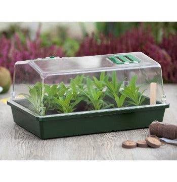 Kweekbakje met Deksel 37,5 cm - Tuinieren/Moestuinbak - Moestuinartikelen