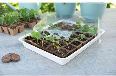 SOGO Eco Kweekkas met 30 Turfpotjes
