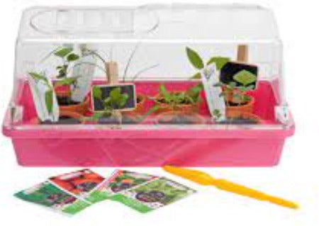 Synx Tools Growbox Pink mit Deckel 32 cm – Gemüsegartenartikel