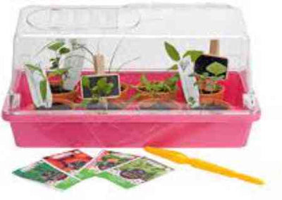 Synx Tools Kweekbak Roze kweekkastje met deksel 32cm - Tuinieren/Moestuinbak - Moestuin artikelen - Tuin benodigdheden - Vensterbank