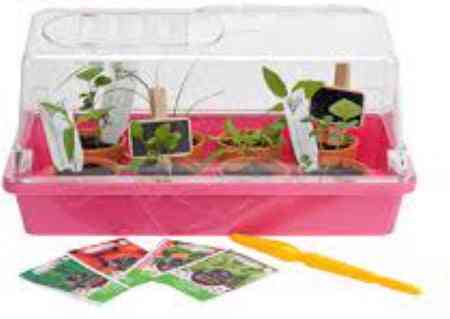 Synx Tools Kweekbak Roze kweekkastje met deksel 32cm - Tuinieren/Moestuinbak - Moestuin artikelen - Tuin benodigdheden - Vensterbank