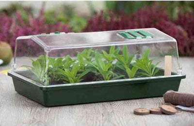 Synx Tools 2x Kweekbak met Deksel 37,5 cm - Tuinieren/Moestuinbak - Vensterbank Moestuinartikelen