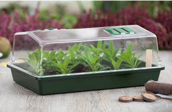 Synx Tools Kweekbak kweekkastje met deksel 37,5 cm - Tuinieren/Moestuinbak - Moestuin artikelen - Tuin benodigdheden - Vensterbank