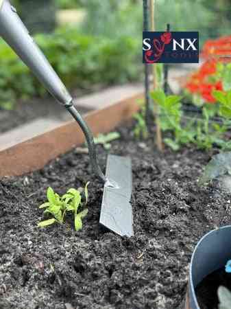 Synx Tools Rechte schoffel 22cm Gesmeed - Schoffels / Onkruidverwijderaar - Schoffel met Steel - 160 cm steel met hilt