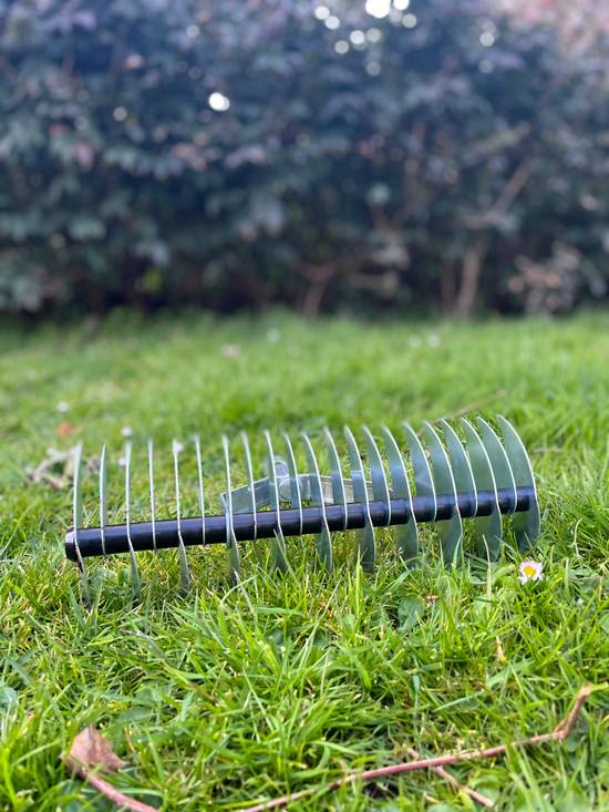 Synx Tools Verticuteerhark verzinkt Gazonbeluchters Verticuteer / Harken Bodembewerkers Tuinartikelen / Tuingereedschap Zonder Steel