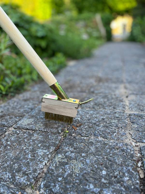 Synx Tools Voegenborstels / Onkruidverwijderaars Onkruidborstel Onkruidbestrijding Voegenkrabbers / Voegenborstel Met houder en steel 160cm